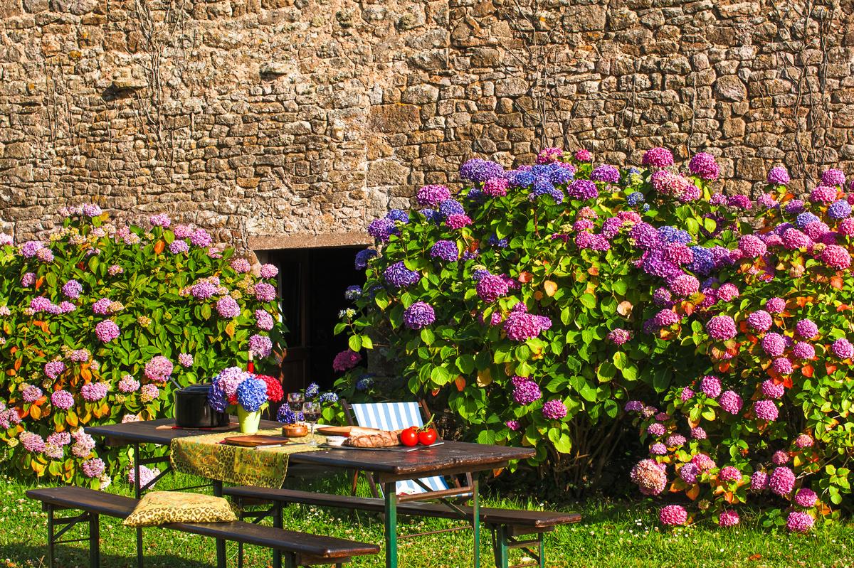 Garten des Ferienhauses mit Meerblick